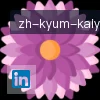 开云app logo