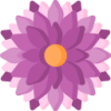 开云app logo
