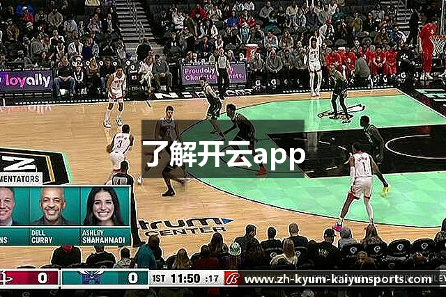 了解开云app